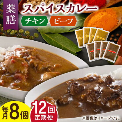 【12回定期便】薬膳スパイスカレー ファミリーセット（チキンカレー 4食 ビーフカレー 4食） /自然庵 [UCQ012]