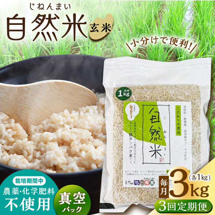 [3回定期便]栽培期間中 農薬・化学肥料不使用 自然米 玄米 3kg(ヒノヒカリ 1kg×3袋)/自然庵