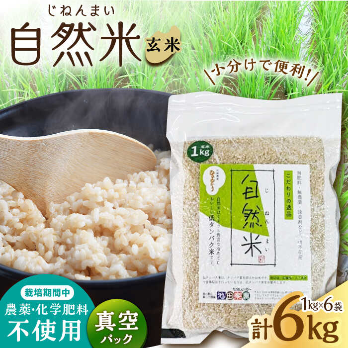 【ふるさと納税】【栽培期間中 農薬・化学肥料不使用】自然米 玄米 6kg（ヒノヒカリ 1kg×6袋）/自然庵[UCQ025]