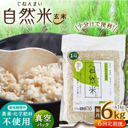 【6回定期便】栽培期間中 農薬・化学肥料不使用 自然米 玄米 6kg（ヒノヒカリ 1kg×6袋）/自然庵[UCQ027]