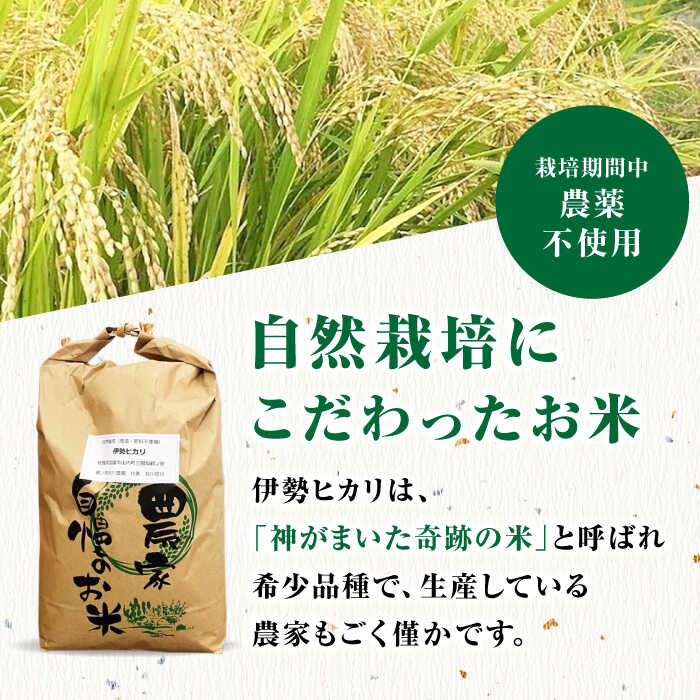 佐賀県武雄市の画像2