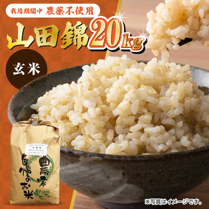 【ふるさと納税】栽培期間中農薬不使用 令和5年産 山田錦 玄米 20kg 武雄市/鶴ノ原北川農園[UDL012]のサムネイル