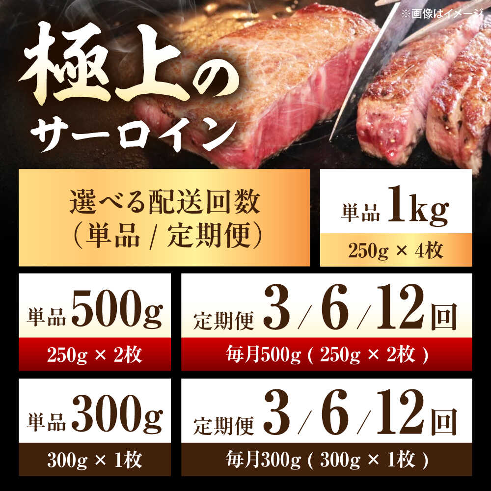 【ふるさと納税】【選べる内容量】佐賀牛 サーロインステーキ 300g（300g×1枚）/ 500g（250g×2枚） /MKミート武雄[UEM016]佐賀牛 サーロインステーキ A5ランク 霜降り 厚切り ギフト 贈答用 誕生日 記念日 お祝い 通販