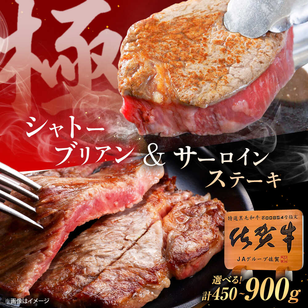 [選べる内容量]佐賀牛 シャトーブリアン・サーロインステーキセット 計450g / 計900g 