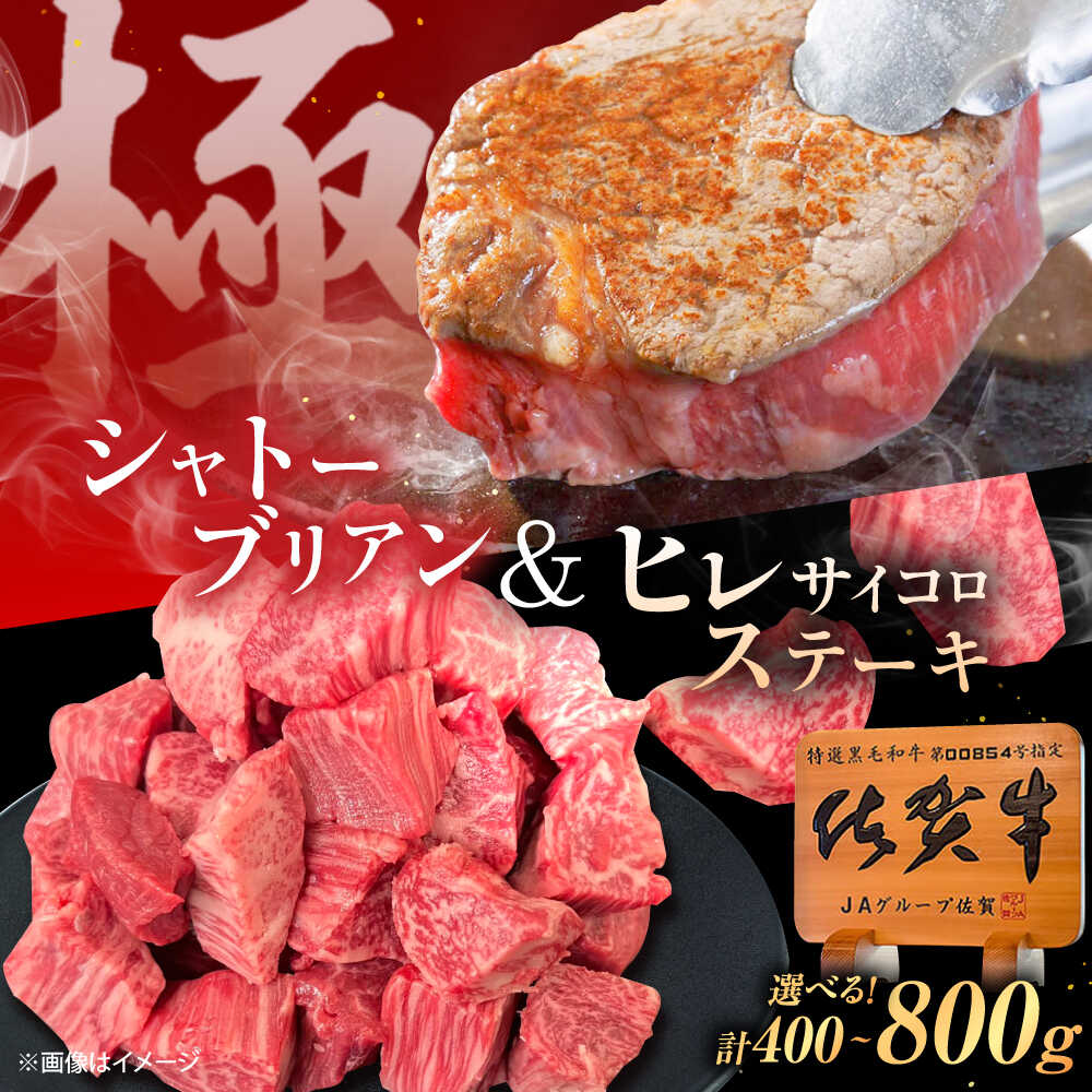 [選べる内容量]佐賀牛 ヒレセット 計400g(シャトーブリアン・ヒレサイコロステーキ 各200g)/計800g(シャトーブリアン・ヒレサイコロステーキ 各400g)