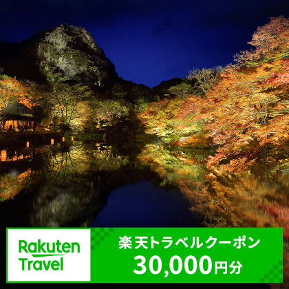 佐賀県武雄市の対象施設で使える楽天トラベルクーポン　寄附額100,000円