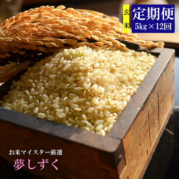 【ふるさと納税】【12か月定期便】鹿島市産 夢しずく 玄米 5kg×12回 合計60kg 定期便 12回発送 毎月1回 米 お米 令和2年産 国産 九州産 鹿島市 送料無料 K-7
