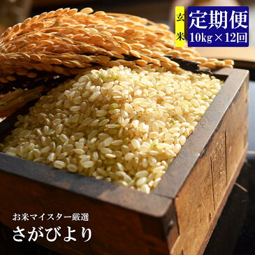 【ふるさと納税】【12ヶ月定期便】1等米限定 鹿島市産 さがびより 玄米 10kg×12回 定期便 12か月 合計120kg 合計12回発送 お米 米 国産 九州産 佐賀県 鹿島市 送料無料 S-2