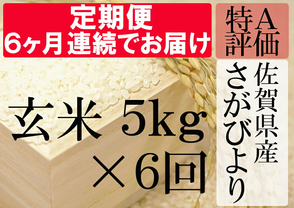 【ふるさと納税】G-5 《6ヶ月毎月お届け》佐賀県産さがびより　玄米5kg定期便