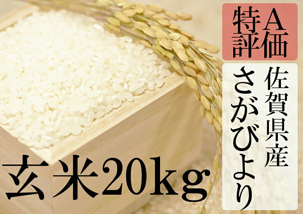 【ふるさと納税】D-12 【30年産新米】【特A】厳選！佐賀県産さがびより　玄米20kg