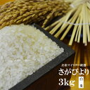 【ふるさと納税】A-20【特A・令和元年産米】鹿島市産厳選さ...