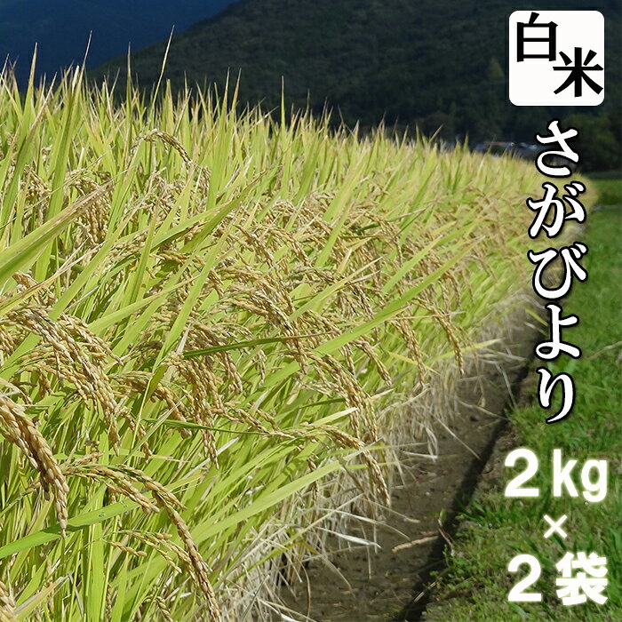 お米 さがびより 特A チャック付 白米 2kg × 2袋 計4kg | ふるさと納税 米 お米 新米 精米 国産 佐賀県 鹿島市 ふるさと 人気 送料無料 A-148