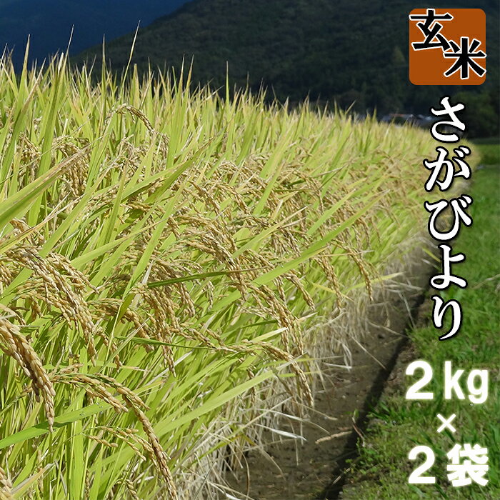 【ふるさと納税】厳選 令和7年産 さがびより 鹿島市産 玄米 合計 4kg （2kg×2袋） 特A お米 米 チャック付き 九州 国産 九州産 佐賀県 鹿島市 送料無料 A-149
