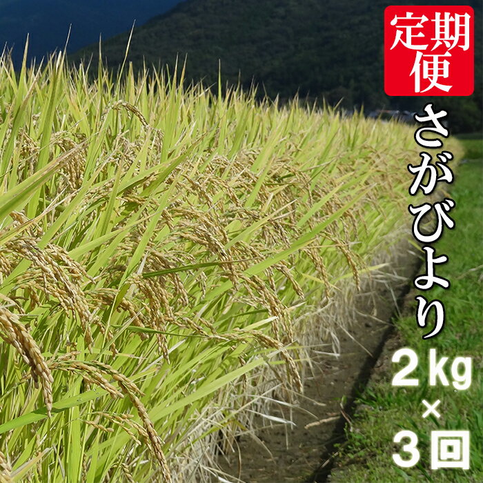 【ふるさと納税】《3か月毎月お届け》鹿島市産 さがびより 特A 白米 玄米 2kg × 3回 計 6kg チャック付 定期便 月1回 佐賀県 鹿島市 送料無料 C-69