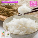 【ふるさと納税】数量限定 肥前の国 新鮮米 匠セット 4kg（2kg×2種）×6か月 計24kg 定期便 特A評価 さがびより 夢しずく 精米 白米 米 佐賀県 鹿島市 送料無料 F-49