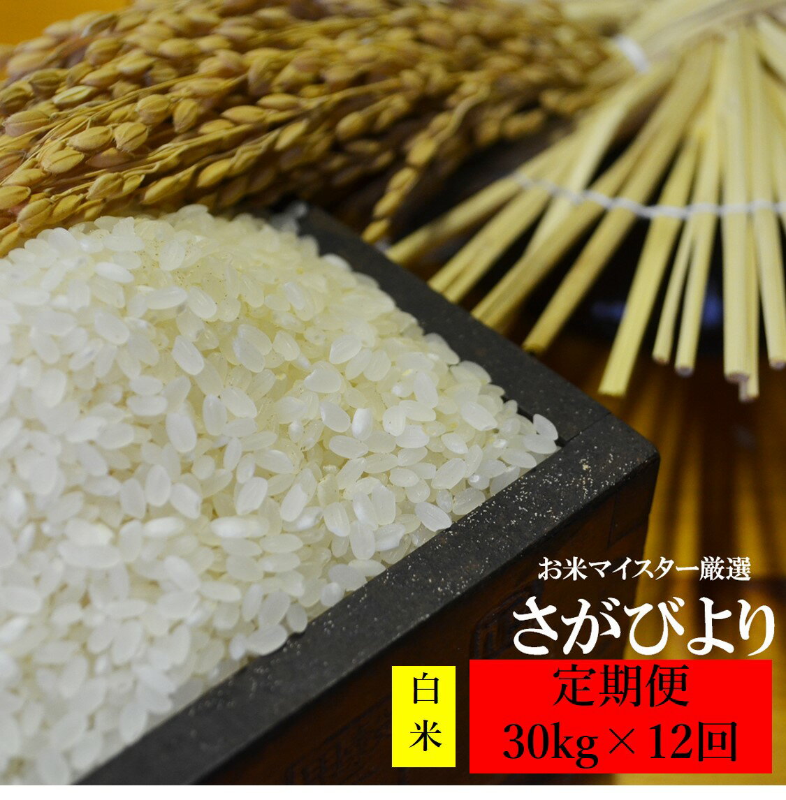 【ふるさと納税】【12ヶ月定期便】さがびより 白米 30kg（10kg×3袋）×12回 定期便 鹿島市産 12か月 お米 九州 米 精米 国産 九州産 佐賀県 鹿島市 送料無料 V-19