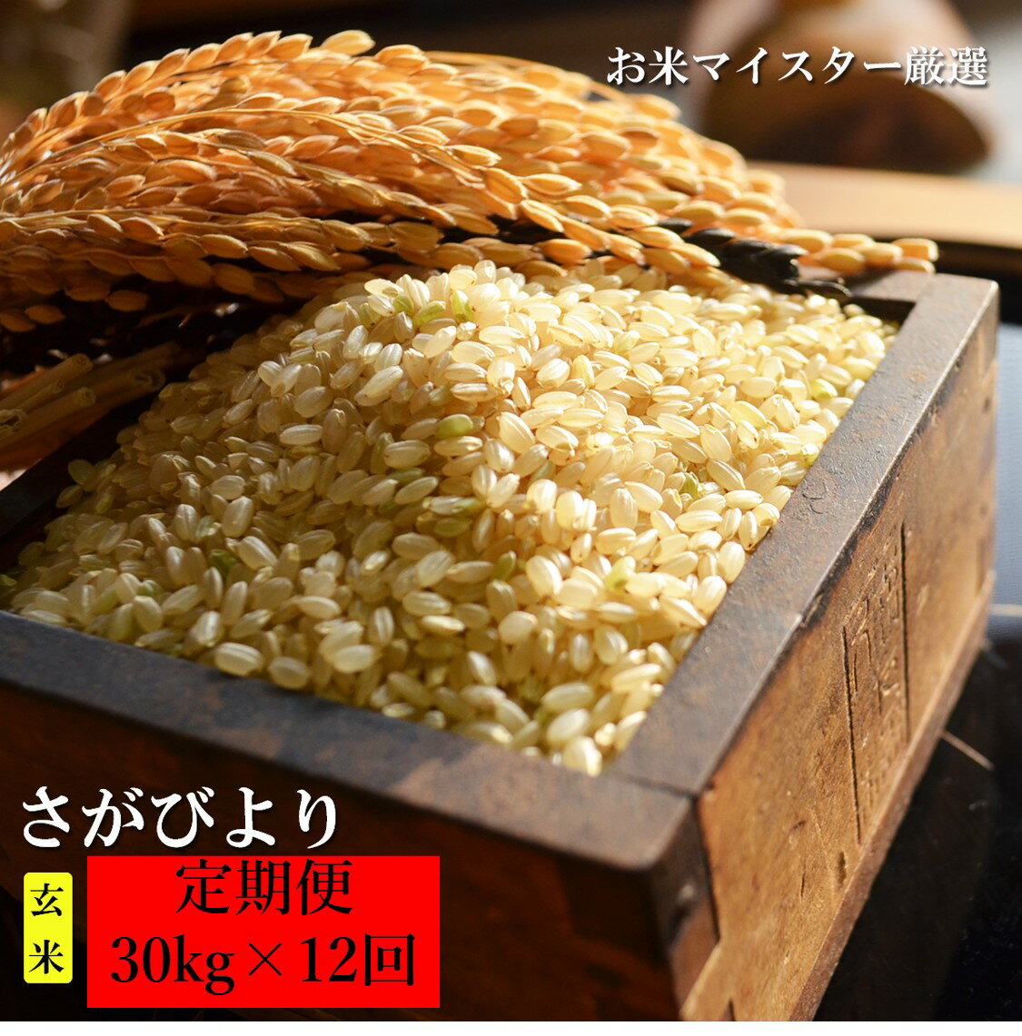 【ふるさと納税】【12ヶ月定期便】鹿島市産 さがびより 玄米 30kg（10kg×3袋） 定期便 12回発送 12か月 お米 米 国産 九州産 佐賀県 鹿島市 送料無料 V-20