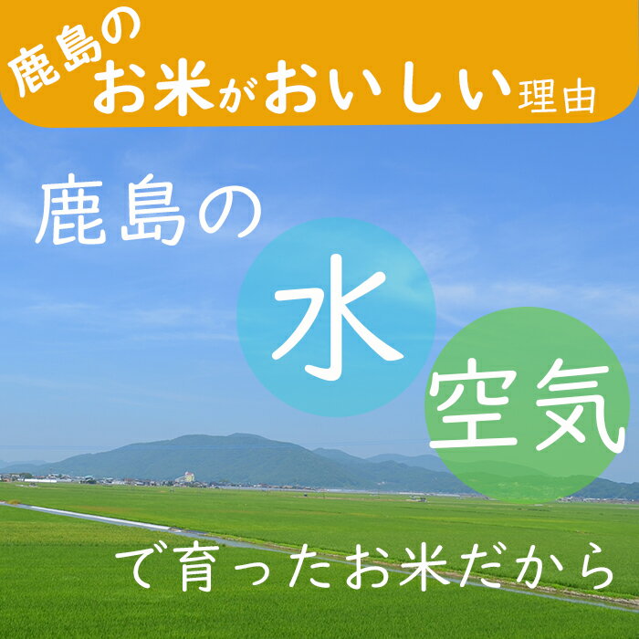 【ふるさと納税】お米マイスター厳選！ 佐賀県 鹿島市産 産直の米 白米 10kg 米 お米 精米 国産 九州産 鹿島市 送料無料 B-350