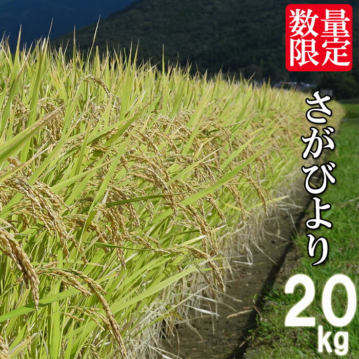 【ふるさと納税】【数量限定】令和5年産 お米マイスターセレクト！ 佐賀県 鹿島市産 さがびより 白米 20kg 米 お米 九州 精米 国産 九州産 鹿島市 送料無料 D-105