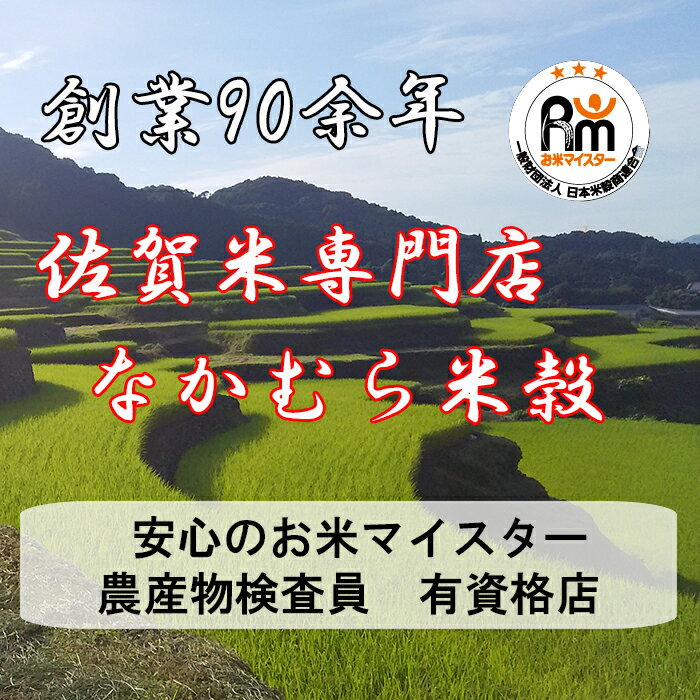 【ふるさと納税】《6か月毎月お届け》鹿島市産 さがびより 特A 白米 玄米 2kg × 6回 計 12kg チャック付 定期便 月1回 佐賀県 鹿島市 送料無料 D-138