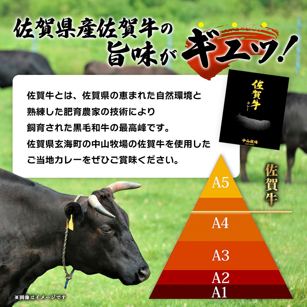 【ふるさと納税】袋数を選べる 佐賀牛カレー 150g 3個 | 佐賀牛と野菜の深い味わい | 贅沢レトルトカレー 3個セット 佐賀県 鹿島市 送料無料 A-192 ご当地カレー 温めるだけ 湯煎 牛カレー 防災 非常食 常備食 f412074-kashima-10002101 佐賀県鹿島市 サンプル画像3