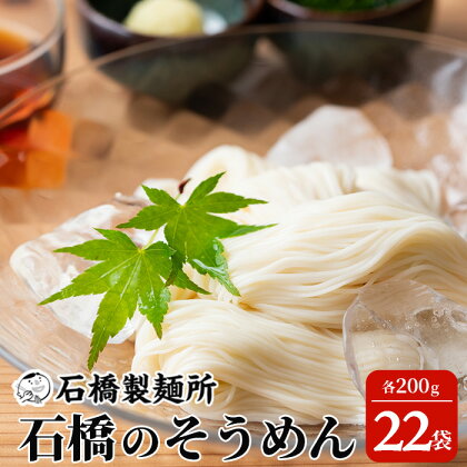 特上そうめん200g×22袋【合計4.4kg】 【創業90年の匠の技】 贈答・ギフトにもおすすめ そうめん 素麺 乾麺 佐賀県 鹿島市 そうめん 素麺 ヌードル 石橋製麺所 冷麺 ギフト 贈答 贈り物 プレゼント お中元 お歳暮 父の日 母の日 敬老の日 お祝い B-596