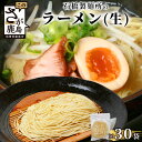 15位! 口コミ数「0件」評価「0」生ラーメン 125g×30袋【合計3.75kg】ラーメン好き集まれ イベントやお裾分けにもおすすめ 【創業90年の匠の技】佐賀県 鹿島市 ラ･･･ 