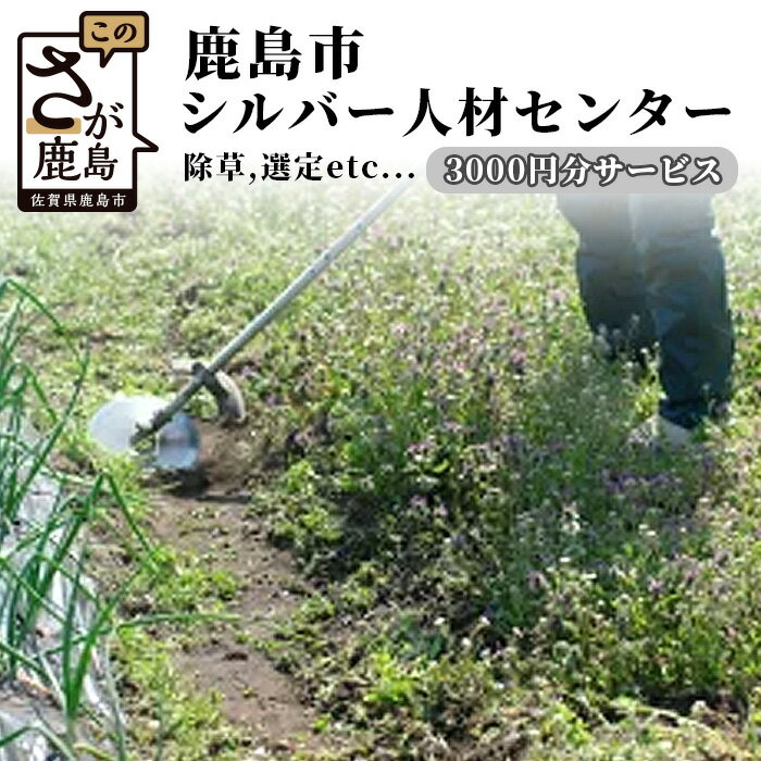 【ふるさと納税】鹿島市シルバー人材センター3,000円分サービス 佐賀県 鹿島市 草刈り 草取り 剪定 清掃 墓掃除 墓 …