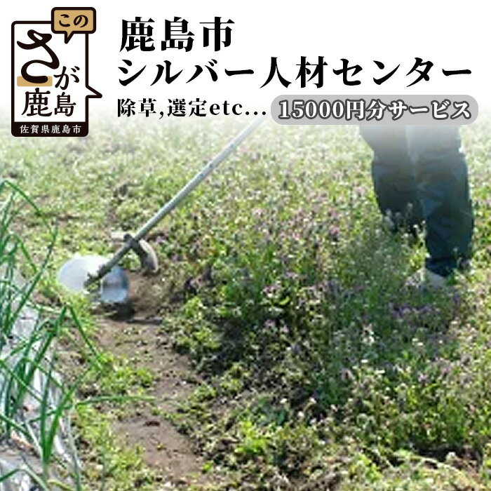 【ふるさと納税】鹿島市シルバー人材センター15,000円分サービス 佐賀県 鹿島市 草刈り 草取り 剪定 清掃 墓掃除 墓 家屋修繕 修繕 ゴミ出し ふすま張替え 障子張替え G-49