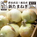 【ふるさと納税】高レビュー 4.7以上 鹿島産 新たまねぎ 約10kg サイズ混合 ふるさと納税 玉葱 野菜 玉ねぎ タマネギ 国産 佐賀県 鹿島市 ふるさと 人気 送料無料 【2024年4月中旬から順次出荷中】 AA-17