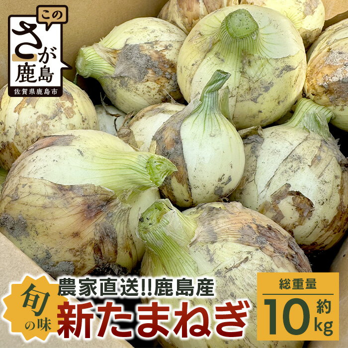 鹿島産 新たまねぎ 約10kg サイズ混合 | ふるさと納税 高評価4.7以上 玉葱 野菜 玉ねぎ タマネギ 新玉ねぎ 国産 佐賀県産 佐賀県 鹿島市 安心 安全 満足 高レビュー リピーター 高評価 美味しい ふるさと 人気 送料無料 AA-17