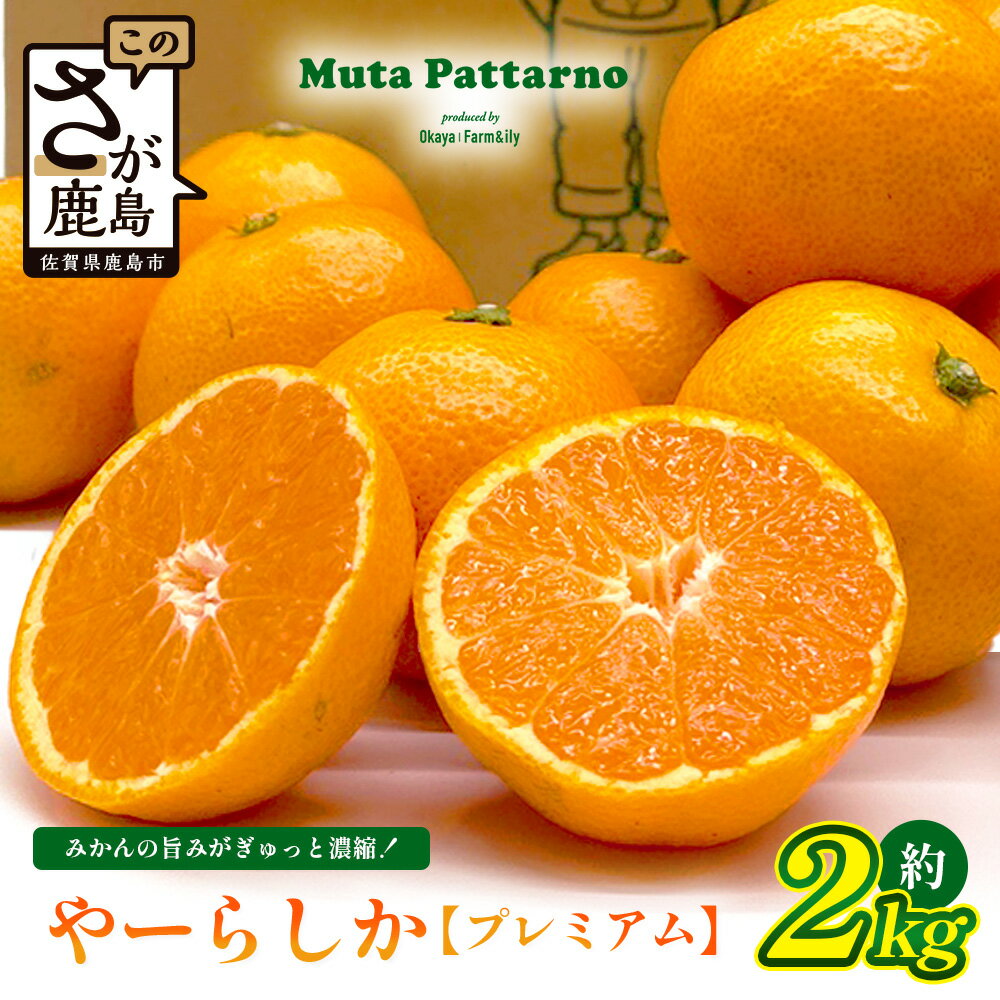 [先行予約][発送は2026年10月中旬から11月上旬ごろ]やーらしかみかん"プレミアム"約2kg(箱込み重量)|[数量限定]小粒サイズ ご家庭用|一口で食べられる濃縮旨み |生産者直送 国産 佐賀県産 ミカン 蜜柑 果物 フルーツ 送料無料