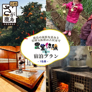 【ふるさと納税】【自然豊かで見晴らし最高!!】農業体験と宿泊プラン(1名様分) 佐賀県鹿島市 民宿 みんなの家 F-58