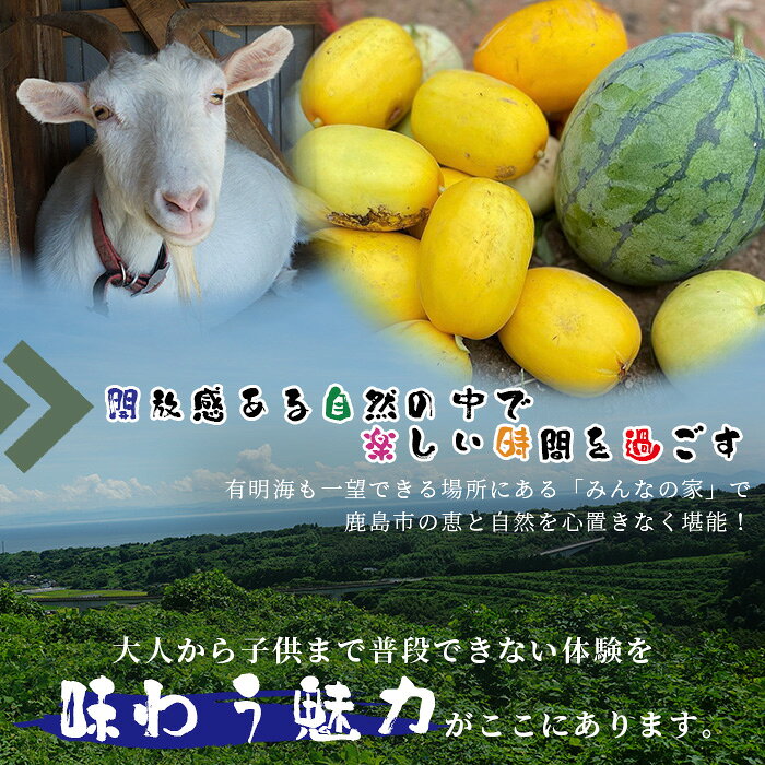【ふるさと納税】【自然豊かで見晴らし最高！！】農業体験と宿泊プラン（1名様分）　佐賀県鹿島市　民宿　みんなの家 F-58 f412074-kashima-10001670 佐賀県鹿島市 サンプル画像3