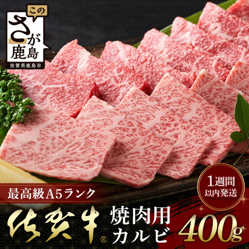 【ふるさと納税】最高級 佐賀牛A5ランク 【最速!1週間以内発送!】佐賀牛 最上級A5ランク カルビ焼き肉用400g 牛肉 国産 佐賀県産 鹿島市 カルビ カルビ焼き肉用 BBQ ご褒美 最速 送料無料 C-121 【ふるさと納税】最高級 佐賀牛A5ランク 【最速!1週間以内発送!】佐賀牛 最上級A5ランク カルビ焼き肉用400g 牛肉 国産 佐賀県産 鹿島市 カルビ カルビ焼き肉用 BBQ ご褒美 最速 送料無料 C-121