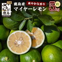 【ふるさと納税】【産地直送】【農家直送】【予約受付】【9月中旬頃より配送】佐賀県鹿島市産 マイヤーレモン 香り高い逸品 新鮮 フレッシュ 5kg サイズ混合 B-726