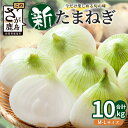 【ふるさと納税】 甘〜い!新鮮!新たまねぎ 約10kg (MLサイズ)★大自然育ち【2025年4月より発送】生産者直送!タマネギ 玉葱 新タマ 新玉ねぎ サラダ...