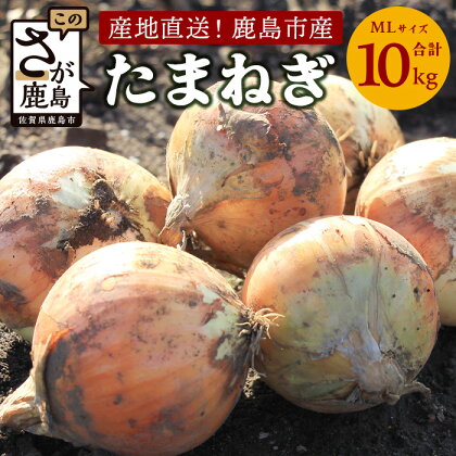 【先行予約】 鹿島産 たまねぎ 約10kg (MLサイズ）| ふるさと納税 玉葱 野菜 玉ねぎ タマネギ 国産 佐賀県 鹿島市 ふるさと 人気 送料無料 【2024年5月から順次出荷中】 b-736