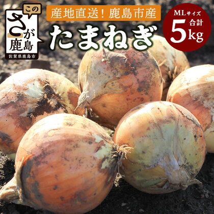 【先行予約】鹿島産 たまねぎ 約5kg (MLサイズ）| ふるさと納税 玉葱 野菜 玉ねぎ タマネギ 国産 佐賀県 鹿島市 ふるさと 大自然 安心 安全 選ばれる 満足 美味しい 高評価 高品質 人気 送料無料 【2024年5月以降順次出荷中】 A-179