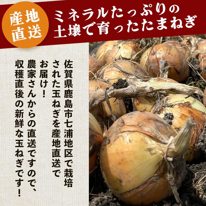 【ふるさと納税】 【先行予約】鹿島産 たまねぎ 約5kg (MLサイズ）| ふるさと納税 玉葱 野菜 玉ねぎ タマネギ 国産 佐賀県 鹿島市 ふるさと 人気 送料無料 【2024年5月以降順次出荷中】 A-179