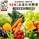 22位! 口コミ数「0件」評価「0」【定期便】【鹿島市産】野菜 新鮮 直送 セット お楽しみ 2回 大容量 6〜10品目 | ふるさと納税 野菜 定期便 やさい 定期 野菜 セ･･･ 