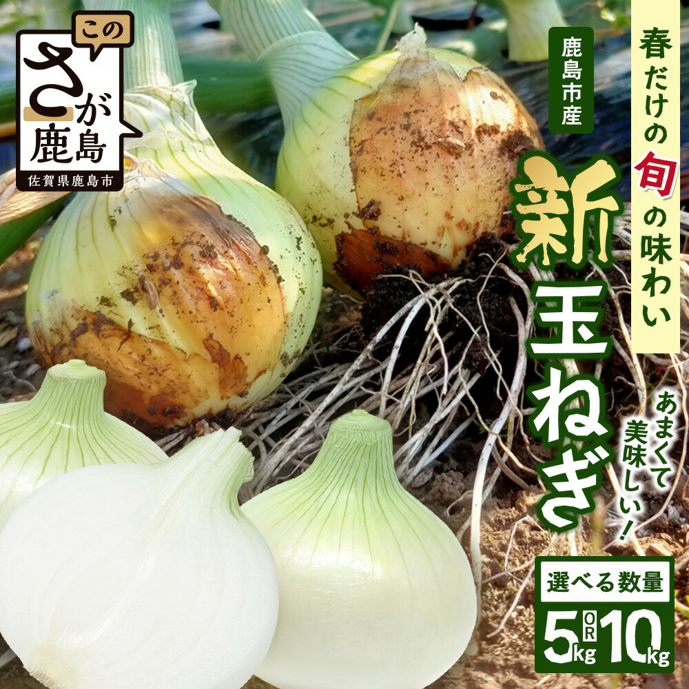 【ふるさと納税】【予約受付】鹿島市産 新玉ねぎ 合計5kg or 10kg たまねぎ 玉葱 サラダ 料理【2026年4月中旬より順次発送】