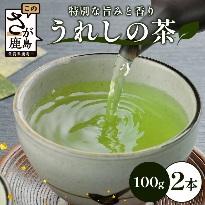 【ギフトにおすすめ】 佐賀県産 うれしの茶 100g×2本 美味しいお茶を贈り物に ご自宅用にもおススメ B-750 嬉野茶 緑茶 日本茶 リーフ 茶葉