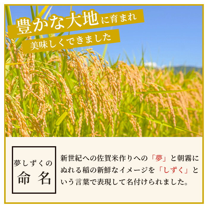 【ふるさと納税】鹿島市産 夢しずく 白米 5kg 米 お米 精米 国産 美味しい 自然の恵 田舎 自然 九州産 佐賀県 鹿島市 送料無料 C-124 f412074-kashima-10001777 佐賀県鹿島市 サンプル画像3