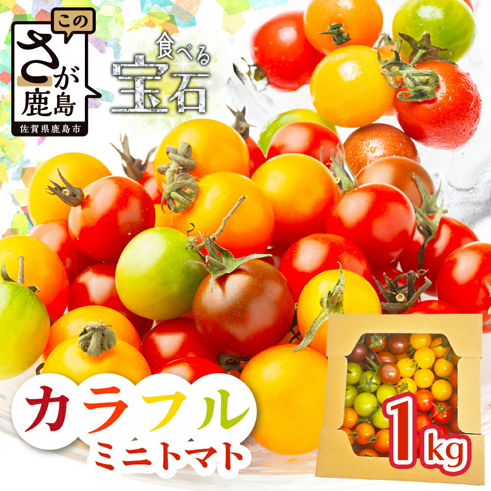 【ふるさと納税】【先行予約】【大臣賞受賞】 岩永さんちのカラフルミニトマト 約1kg（5色）【1月頃よ..