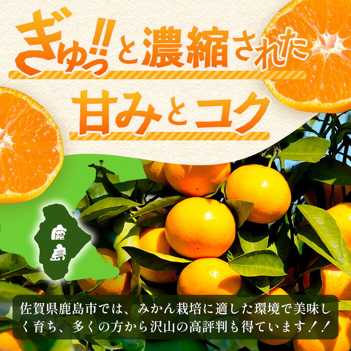 【ふるさと納税】先行予約 温州みかん 小玉(SS,3S)5kg【数量限定】2026年11月上旬頃から12月中旬頃の発送予定 有明海の潮風で育った鹿島産みかん フレッシュ 柑橘 果物 フルーツ オレンジ 注目 佐賀県鹿島市 人気 送料無料 A-205