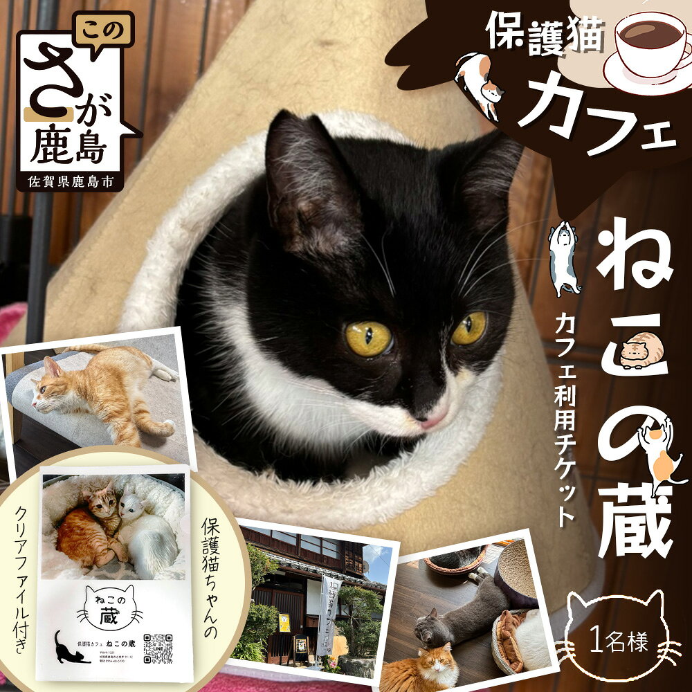保護猫カフェねこの蔵 カフェ利用チケット＋クリアファイル付き｜保護猫カフェねこの蔵 カフェ利用チケット 保護猫カフェ 猫 古民家カフェ チケット クリアファイル 保護猫 支援 鹿島市 猫カフェ カフェ　AA-61