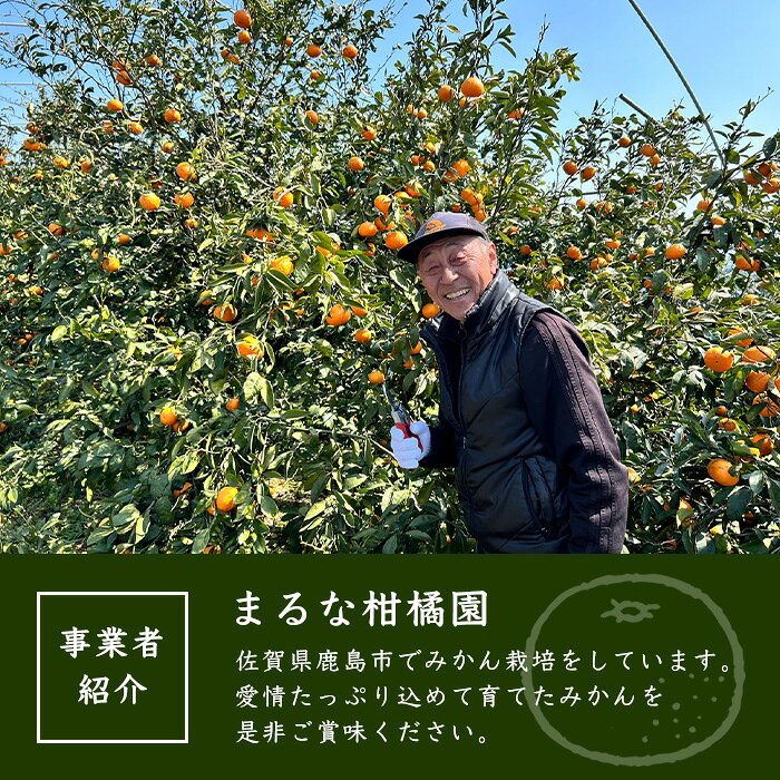 【ふるさと納税】みかん狩り体験 【2名様】 お土産付き＼11月のみの期間限定！／ 佐賀県鹿島市 A-57 f412074-kashima-10000271 佐賀県鹿島市 サンプル画像2