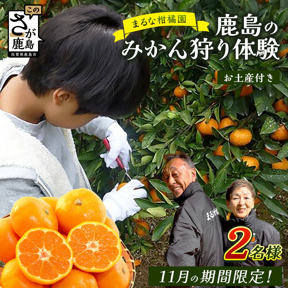 みかん狩り体験 [2名様] お土産付き＼11月のみの期間限定!/ 佐賀県鹿島市