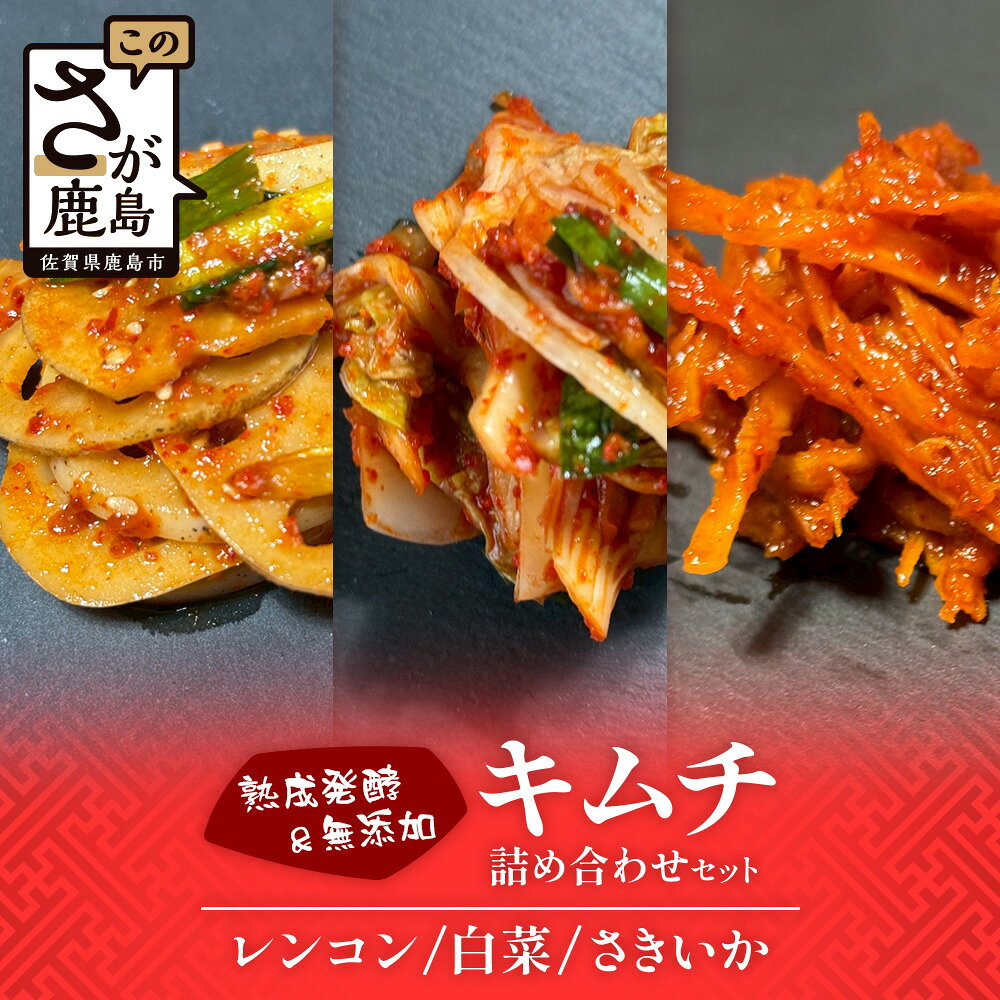 熟成発酵無添加キムチ 詰め合わせセット(白菜キムチ れんこんキムチ さきいかキムチ) セット 食べ比べ 野菜 つけもの キムチ 白菜 れんこん さきいか 佐賀県 鹿島市 送料無料
